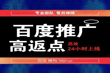 专业SEM服务托管方案案例分析